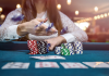 Strategies To Win Real Money In Online Lottery Gambling