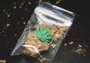 Cannabis Pouches and Bags – Features that You Should Look for Before Buying One