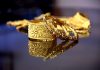 Guide For Online Gold Shopping: Important Tips You Need
