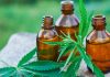 All Solutions with the Organic CBD Use
