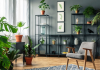 Benefits Of Decorating Indoor Spaces With Plants