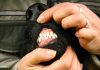 Do You Know What Epulides In Dogs Are?