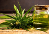 How CBD Oil Can Impact Your Health?
