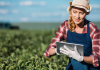 5 Things Farmers Need to Know About When Applying for Farm Loans