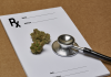Medical Marijuana Doctors Are Needed For Medical Marijuana Prescription
