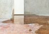 Spotting a Wet Basement: How to Identify Signs of Water Damage?