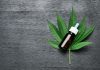 CBD oil for skin – How does it help with acne and other conditions? CBD oil