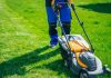 How Lawn Maintenance Prevents Weeds and Pests Lawn Maintenance