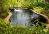 Effectiveness of Butyl Rubber and Epalyn Pond Liner pond company