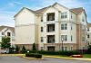 Why Affordable Property Management Tools Are the Backbone of Efficient Rental Oversight
